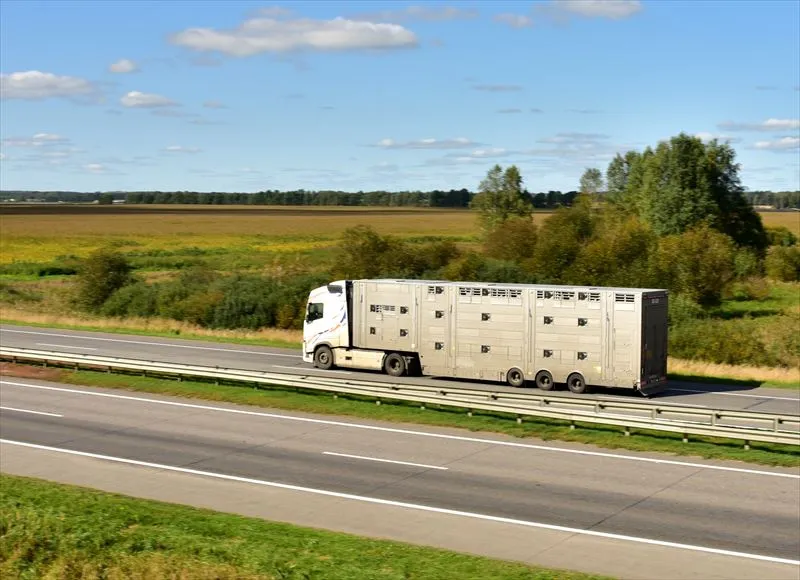 家畜運搬車の特徴とは？